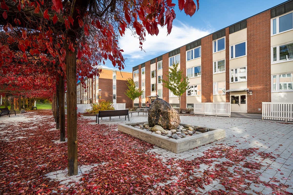 Vy över Höglundavägen.