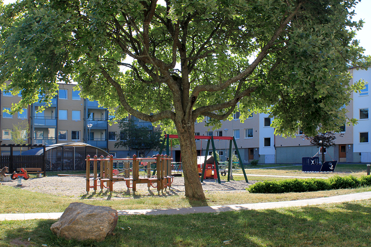 Vy över Jupitervägen.