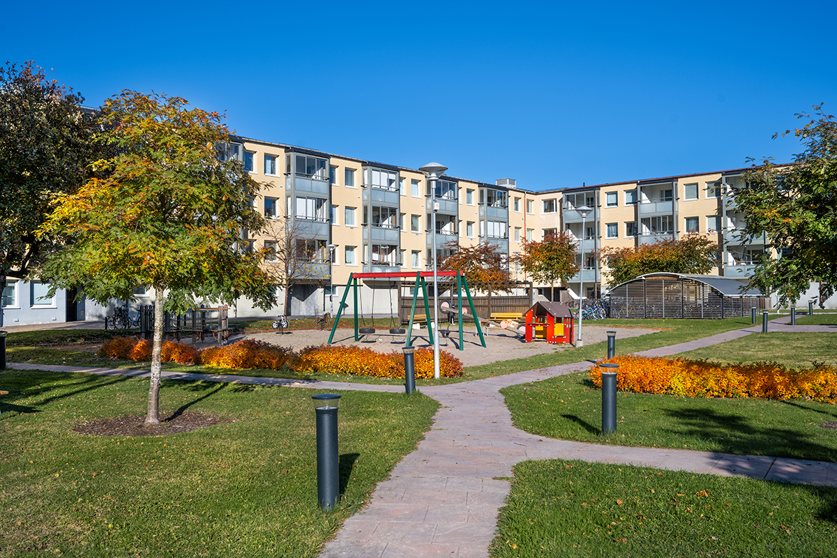 Vy över Jupitervägen.