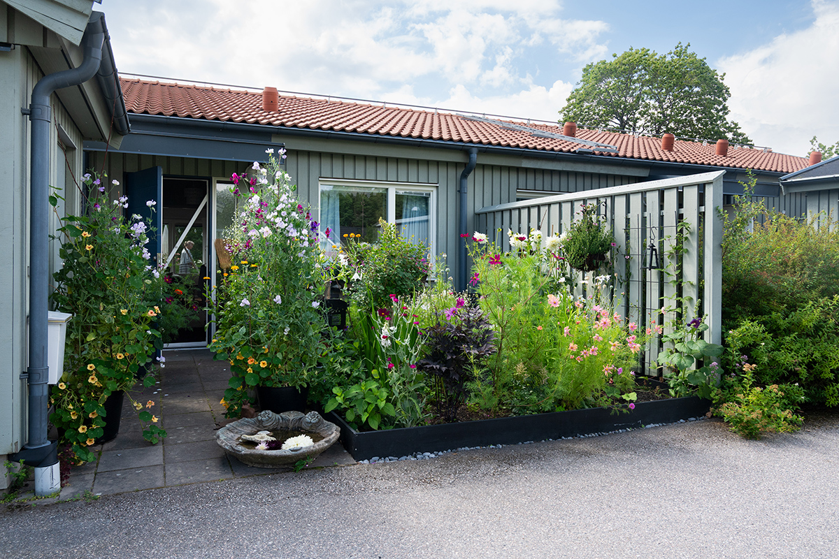 Vy från radhusen på Humlestigen